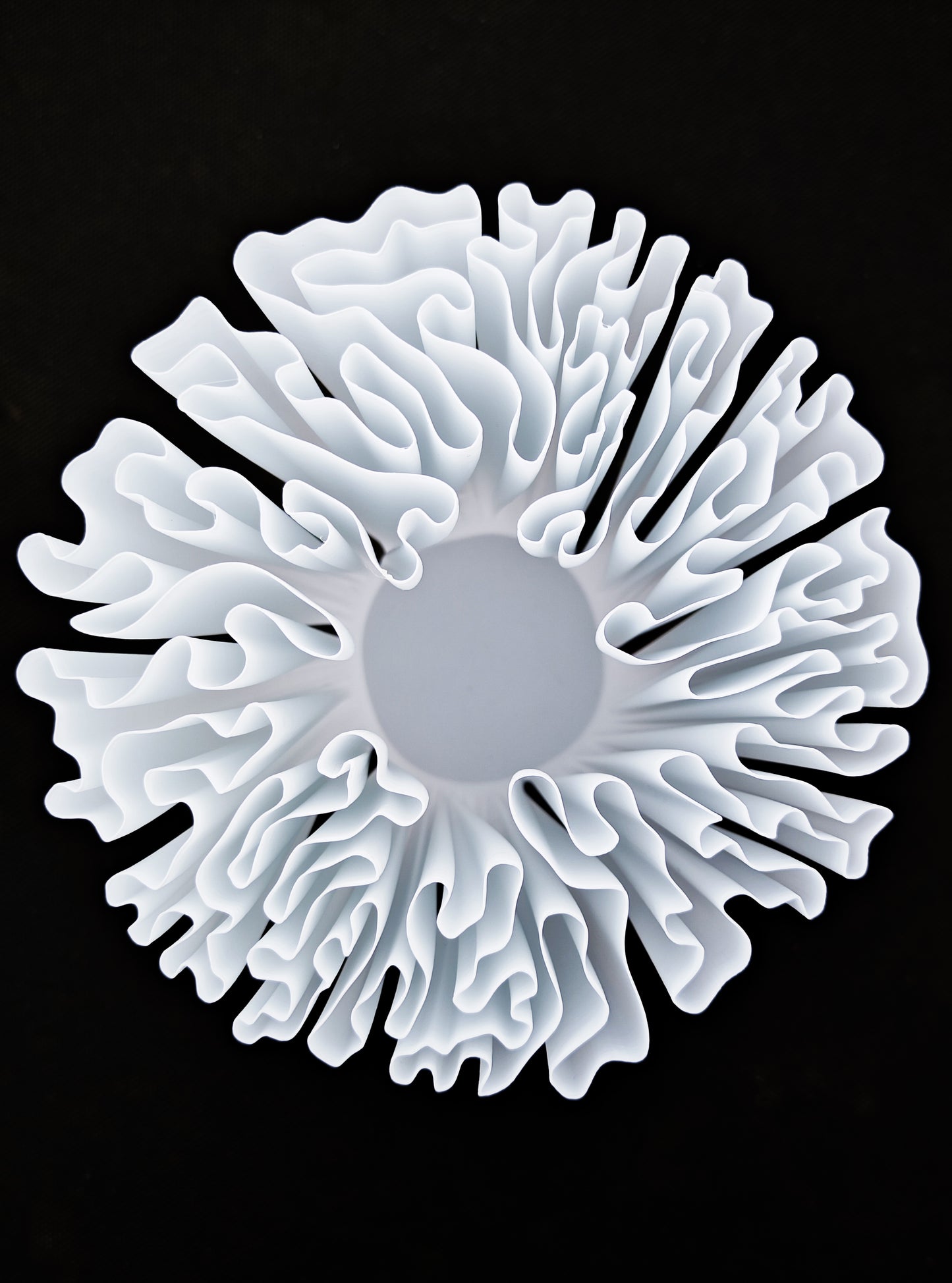 Arrecife Vase